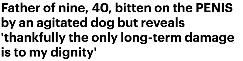 Illustration for article titled The All-Caps Words in The Daily Mail's Headlines Have Taught Me to Love LIFE Again